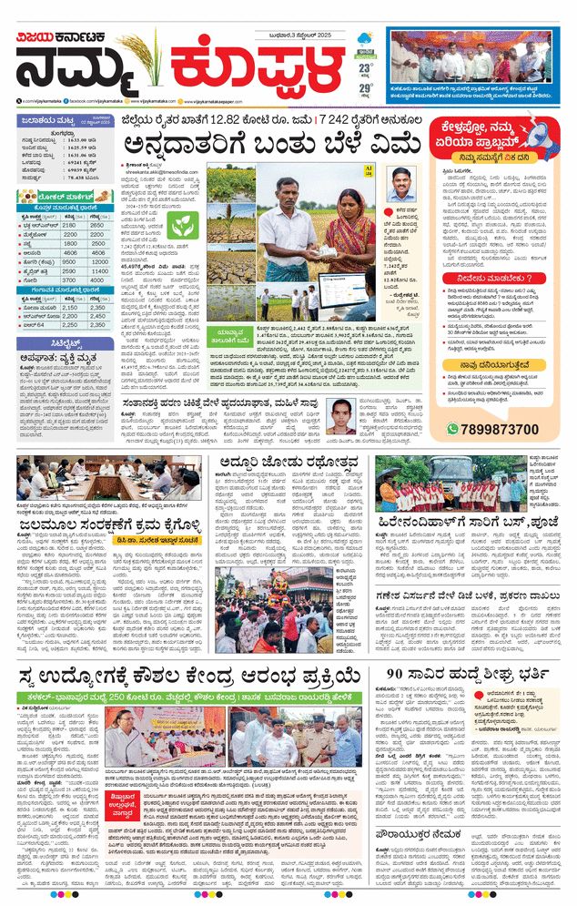 paper-img