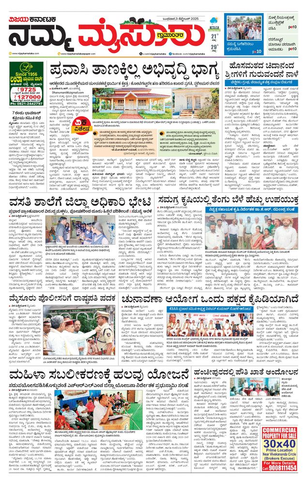 paper-img