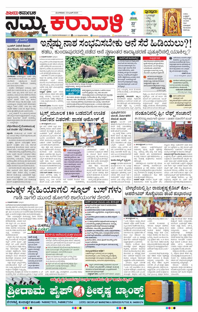 paper-img