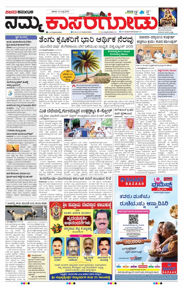 paper-img