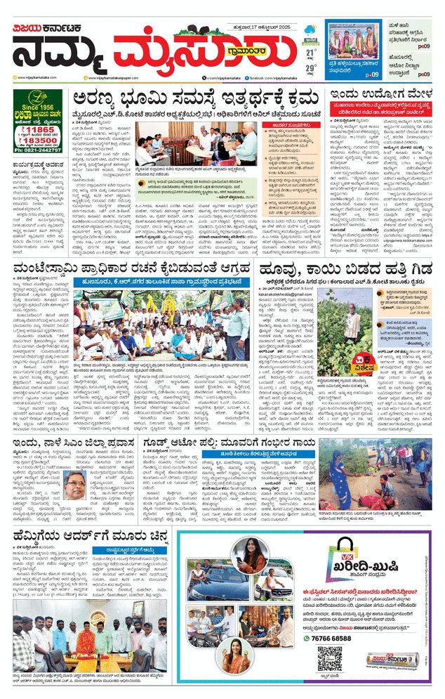paper-img