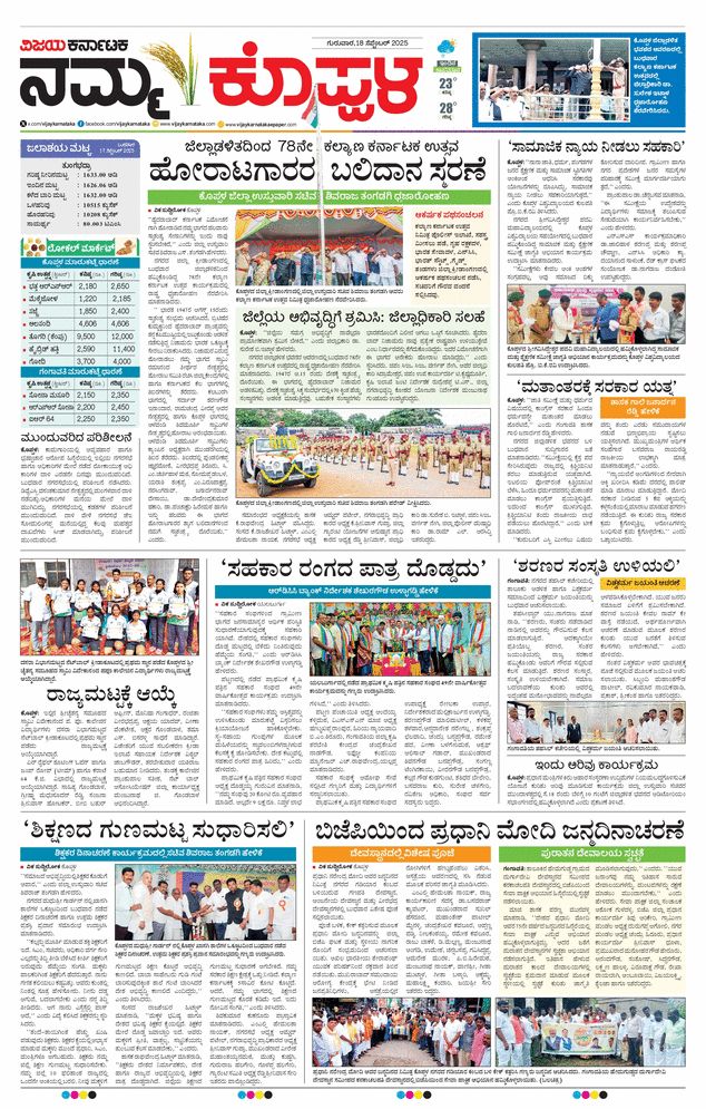 paper-img