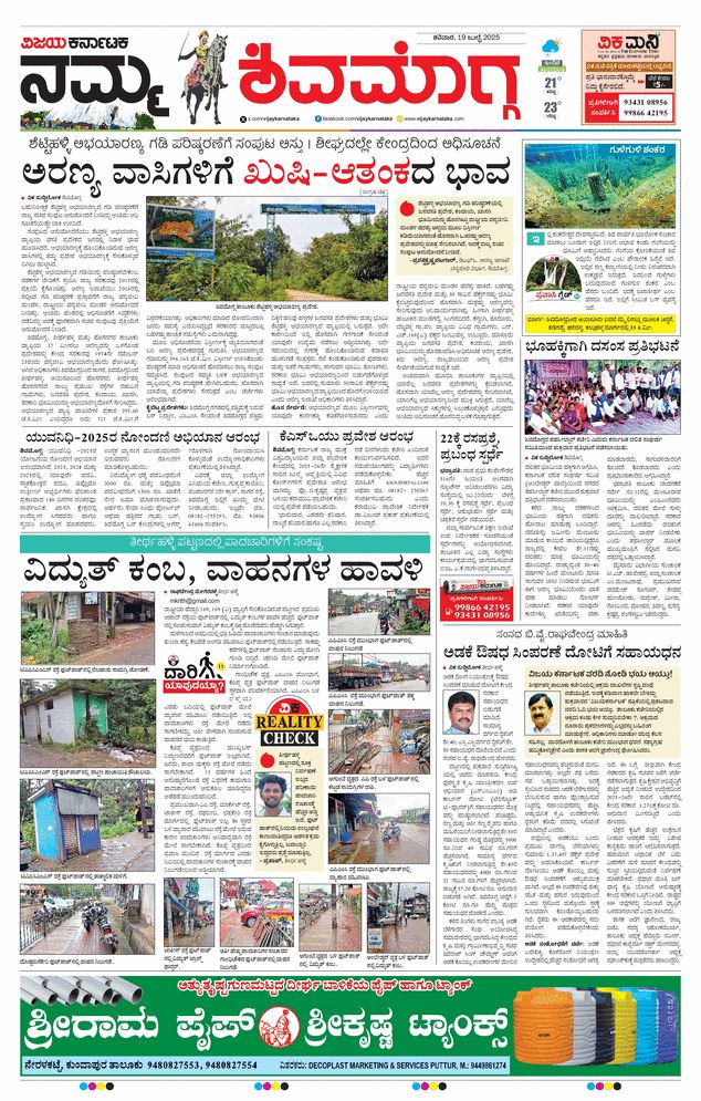 paper-img