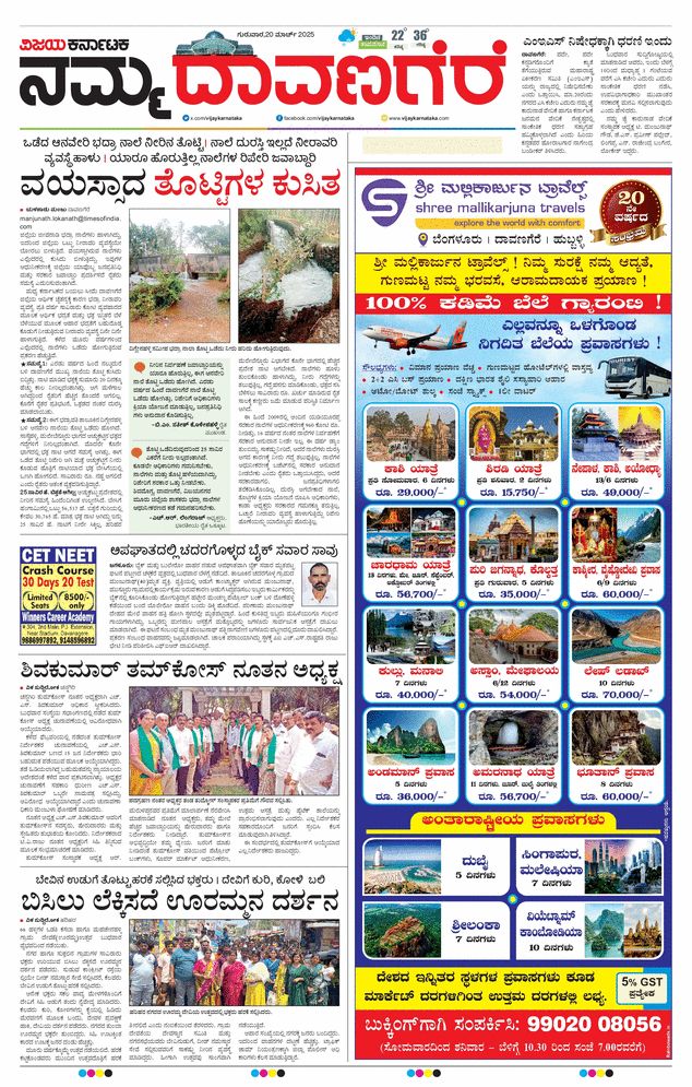 paper-img
